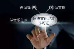 上海网络文化经营许可证的有效期解析