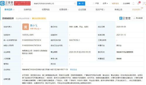 网络文化经营 数字化时代的机遇与挑战